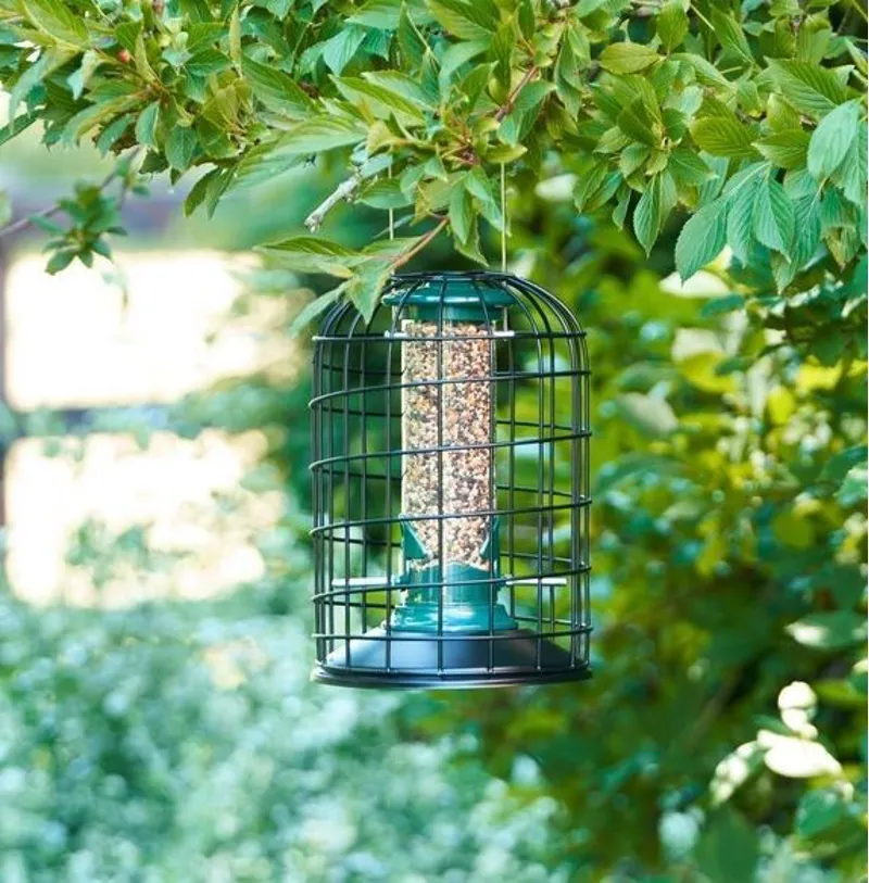 Harrisons Protector Seed Feeder 20cm