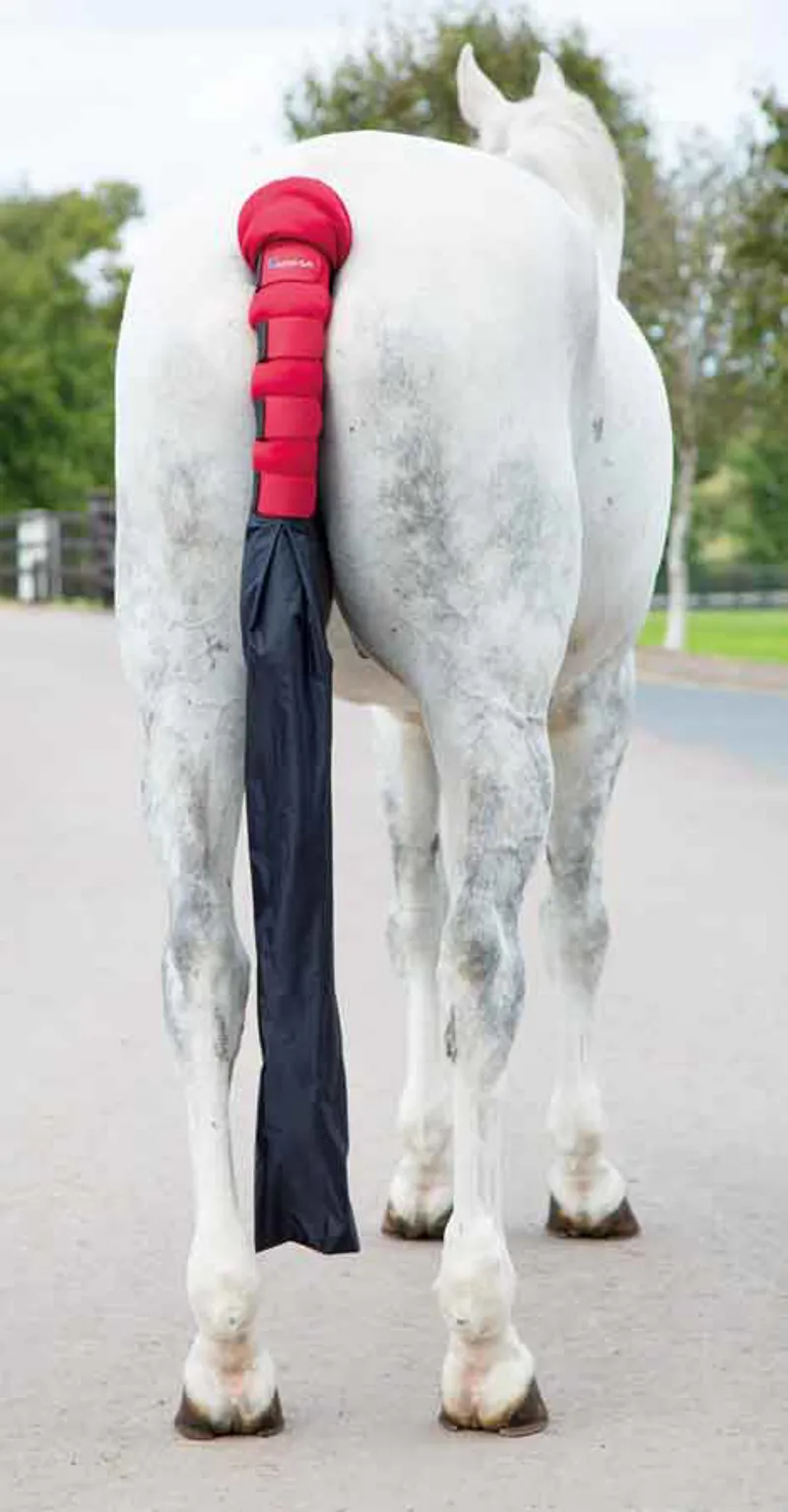 ARMA Padded Tail Guard With Bag PINK one size