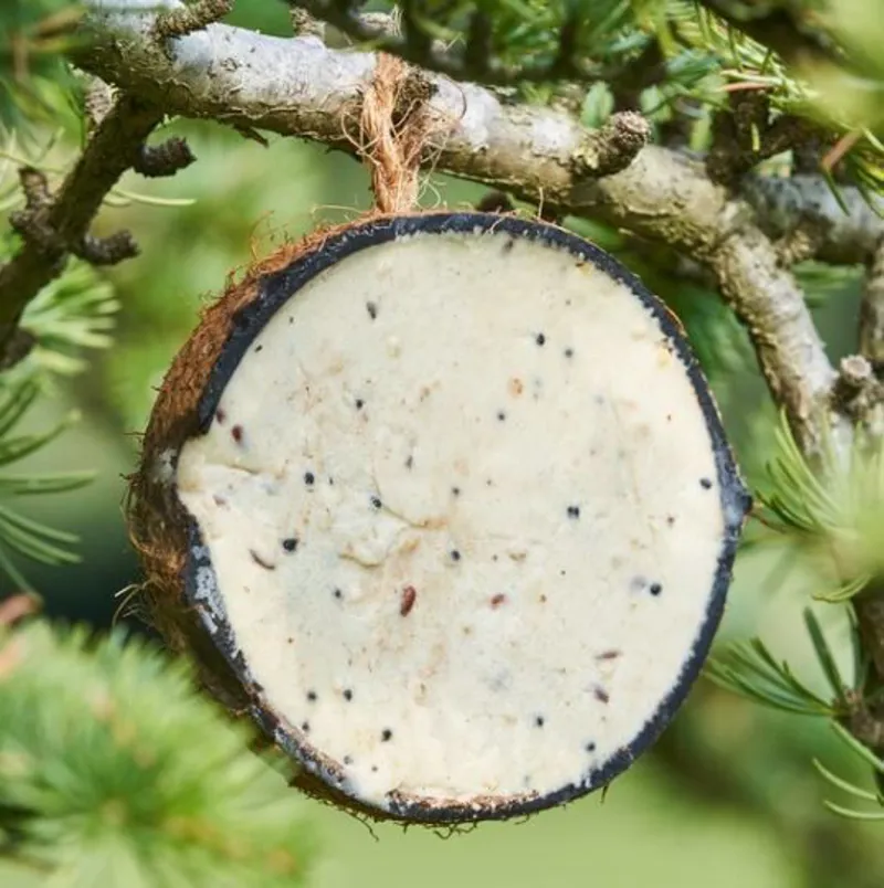 Harrisons Half Coconut Suet Feeders