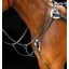 Salisbury Five Point Breastplate HAVANA