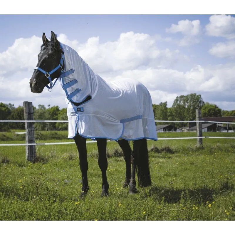 Riding World Mesh Fly Rug