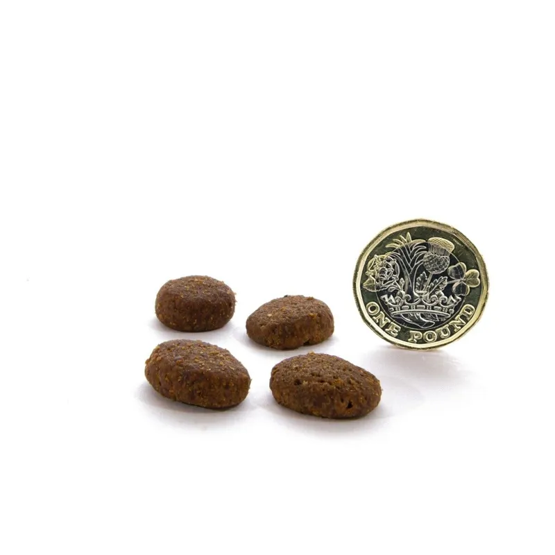 Canagan Dog Food: Highland Feast-1