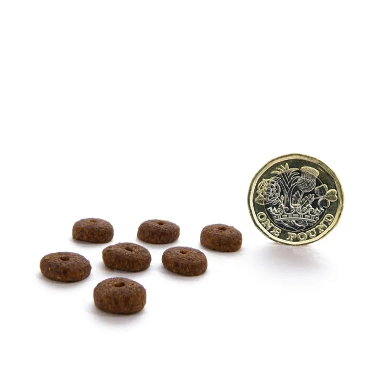 Canagan Dog Food: Small Breed Free-Run Turkey Dental-1