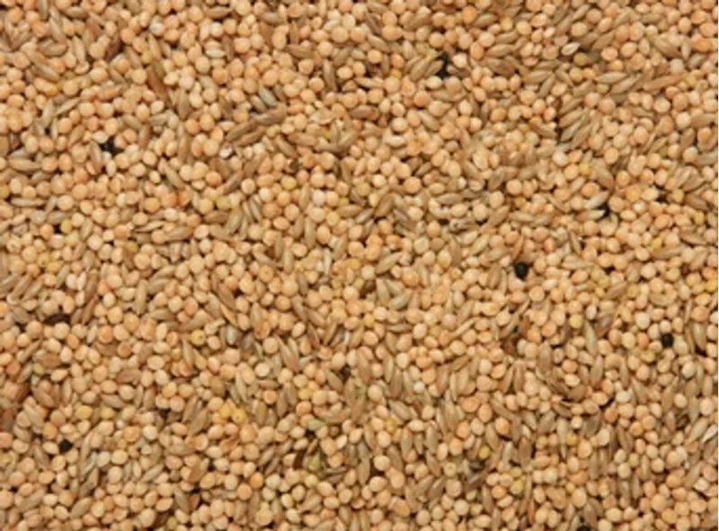 Best Budgie Mix 20 kg