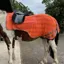 Firefoot HiViz Exercise Sheet Orange