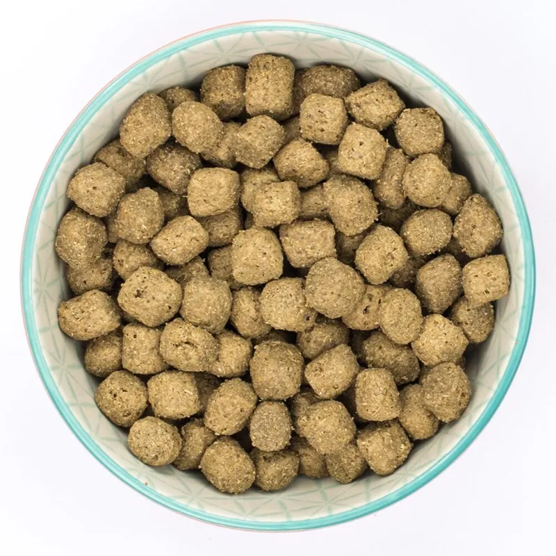 Burns Puppy Original Lamb-1