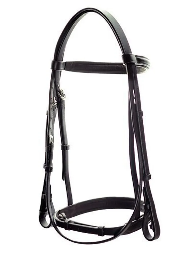Ascot Cavesson Show Bridle Black-2