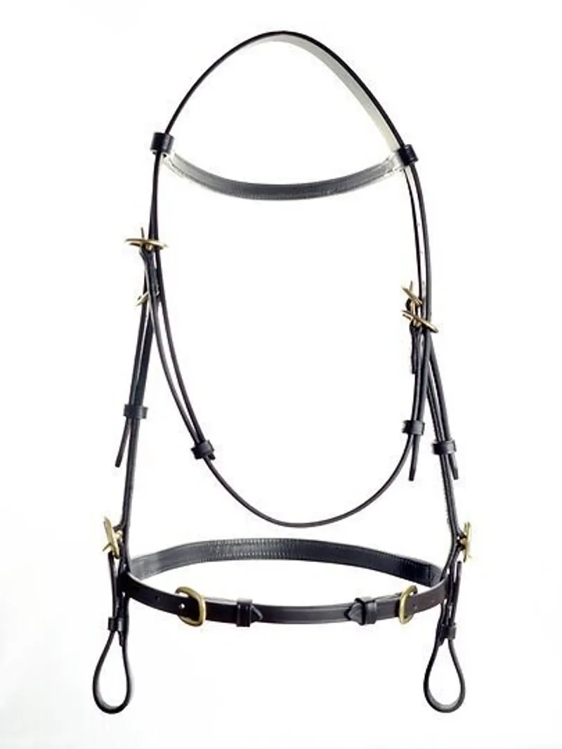 Ascot In Hand Bridle Havana-2