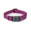 Ancol Adjustable Collar Purple