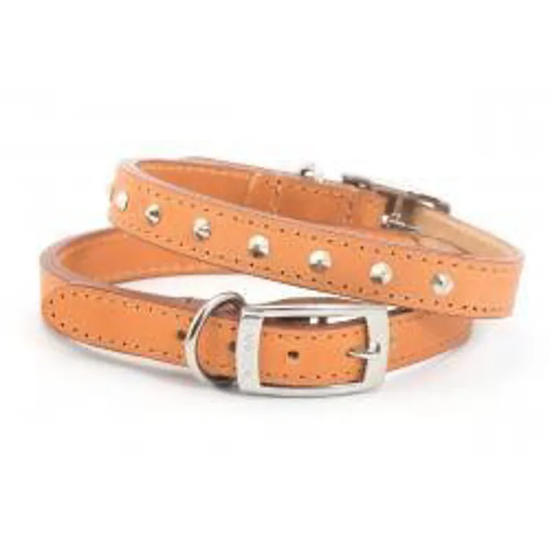 ANCOL LEATHER STUDDED COLLAR Tan