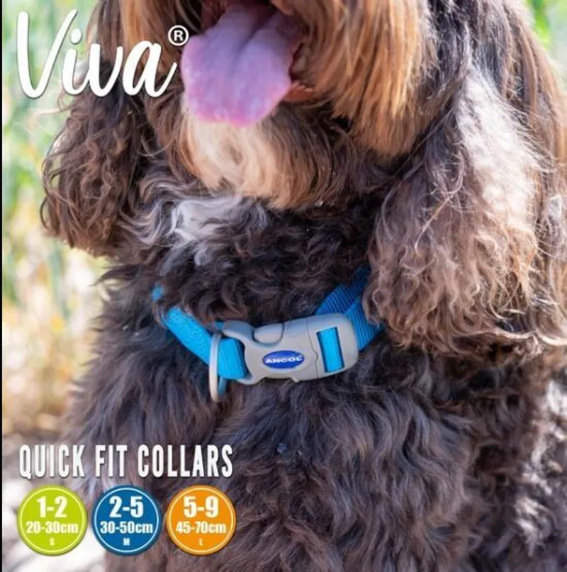 Ancol Viva Adjustable Collar Blue