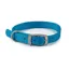 Ancol Viva Buckle Collar Blue
