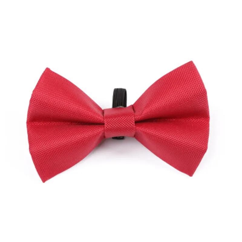 Digby and Fox Bow Tie Red-1