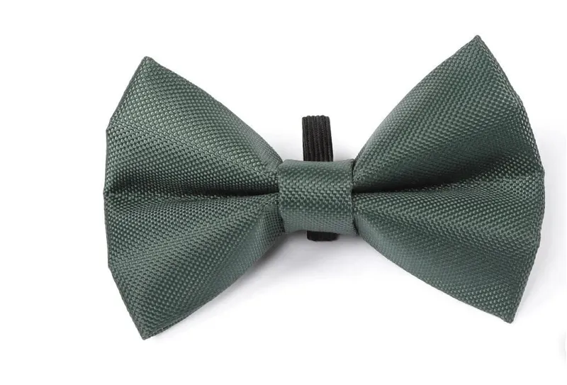 Digby and Fox Bow Tie FOREST