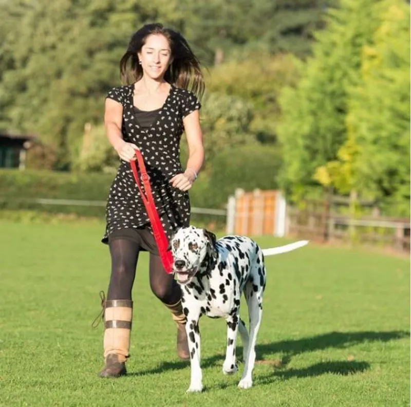 CoA Halti Training Lead Black-2