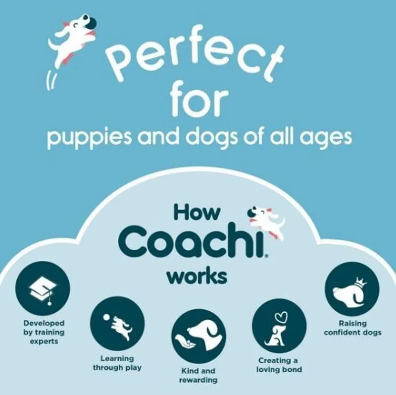 CoA Coachi Pro Train and Treat Bag Navy and Light Blue-7