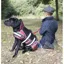 Animate Reflective Padded Nylon Dog Coat Tartan