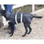 Animate Reflective Padded Nylon Dog Coat Black