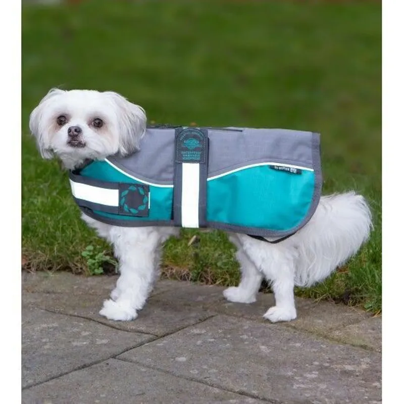 Animate Reflective Padded Nylon Dog Coat Teal
