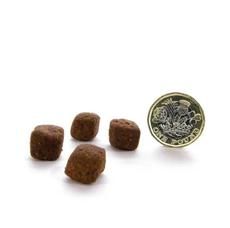 Canagan Dental Dry Dog Food-1