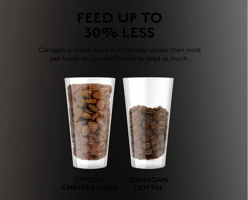 Canagan Dental Dry Dog Food-3