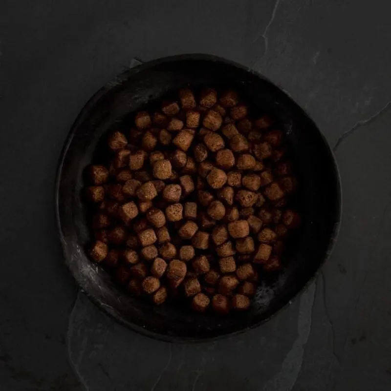 Canagan Dental Dry Dog Food-4