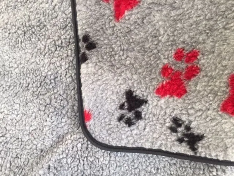 Animate Blanket Sherpa Fleece-1