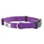 Bunty Middlewood Nylon Collar Purple