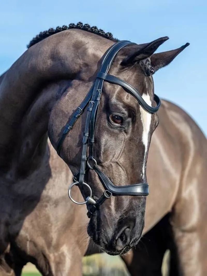 LeMieux Arika Drop Bridle Black