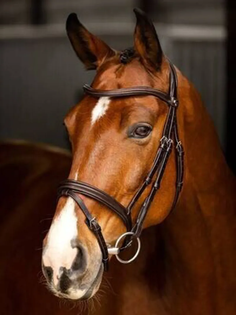LeMieux Arika Flash Bridle Brown