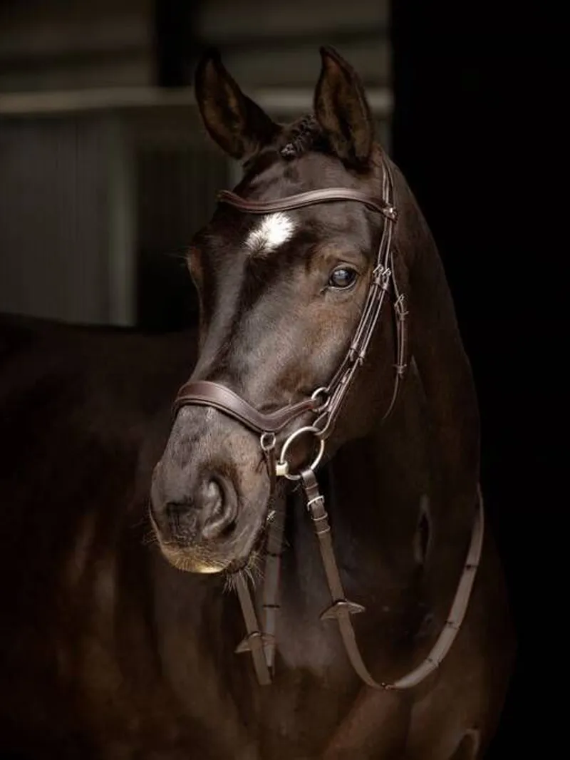 LeMieux Arika Drop Bridle Brown