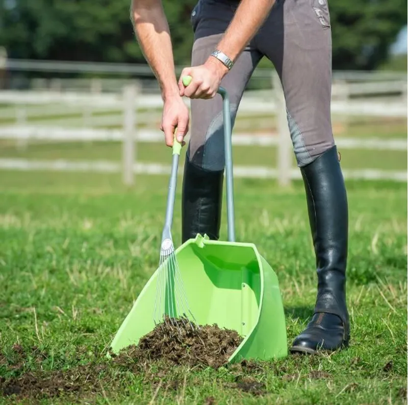 Red Gorilla Big Tidee with Long Metal Rake Pistachio