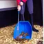 Red Gorilla Big Tidee with Long Metal Rake Blue