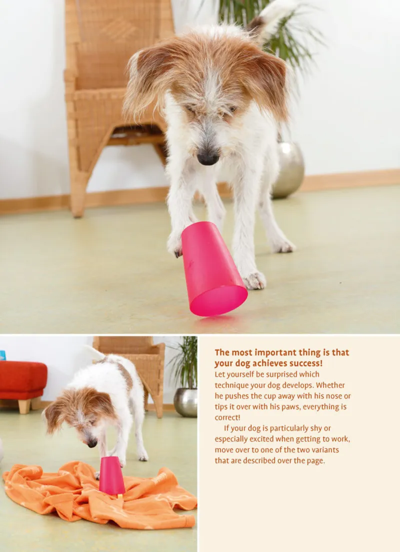 Brain Teasers for Dogs-2