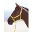 Topaz Nylon Headcollar Yellow