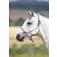 Shires Rope Control Headcollar in Purple