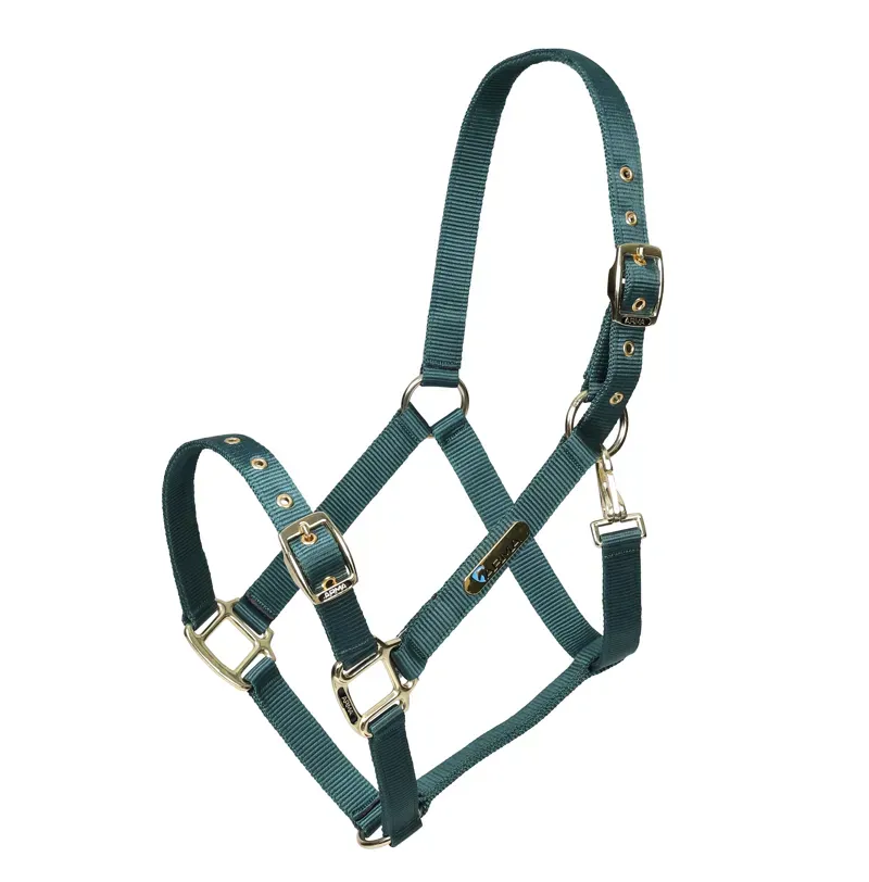 Arma Adjustable Headcollar in Green