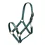 Arma Adjustable Headcollar in Green