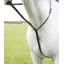 Velociti GARA Standing Martingale HAVANA