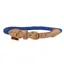 Digby and Fox Reflective Dog Collar in Royal