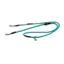 Digby and Fox Rolled Leather Training Lead in Teal