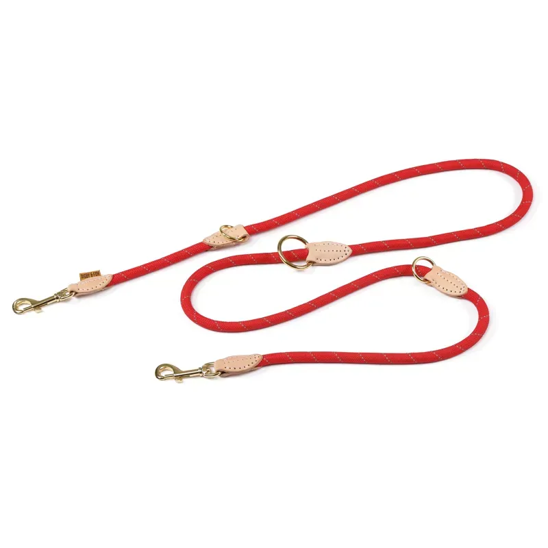 Digby and Fox Reflective Training Lead in Scarlett