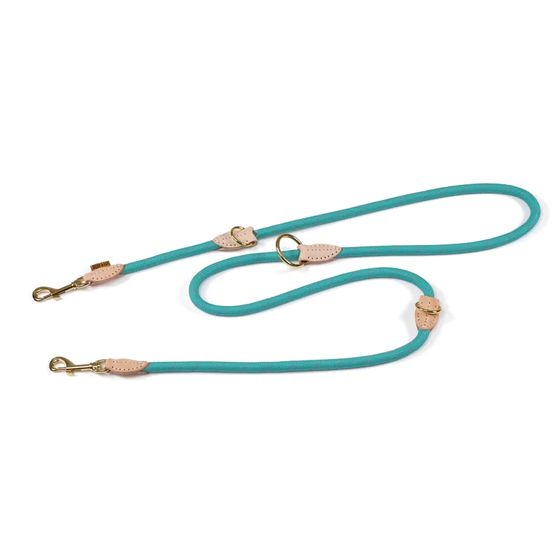 Digby and Fox Reflective Training Lead in Teal