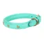 Digby and Fox Star Dog Collar TEAL