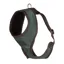 Digby and Fox Heritage Harness in Forest