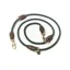 Digby and Fox Fine Rope Training Lead in Green