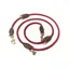Digby and Fox Fine Rope Training Lead in Red