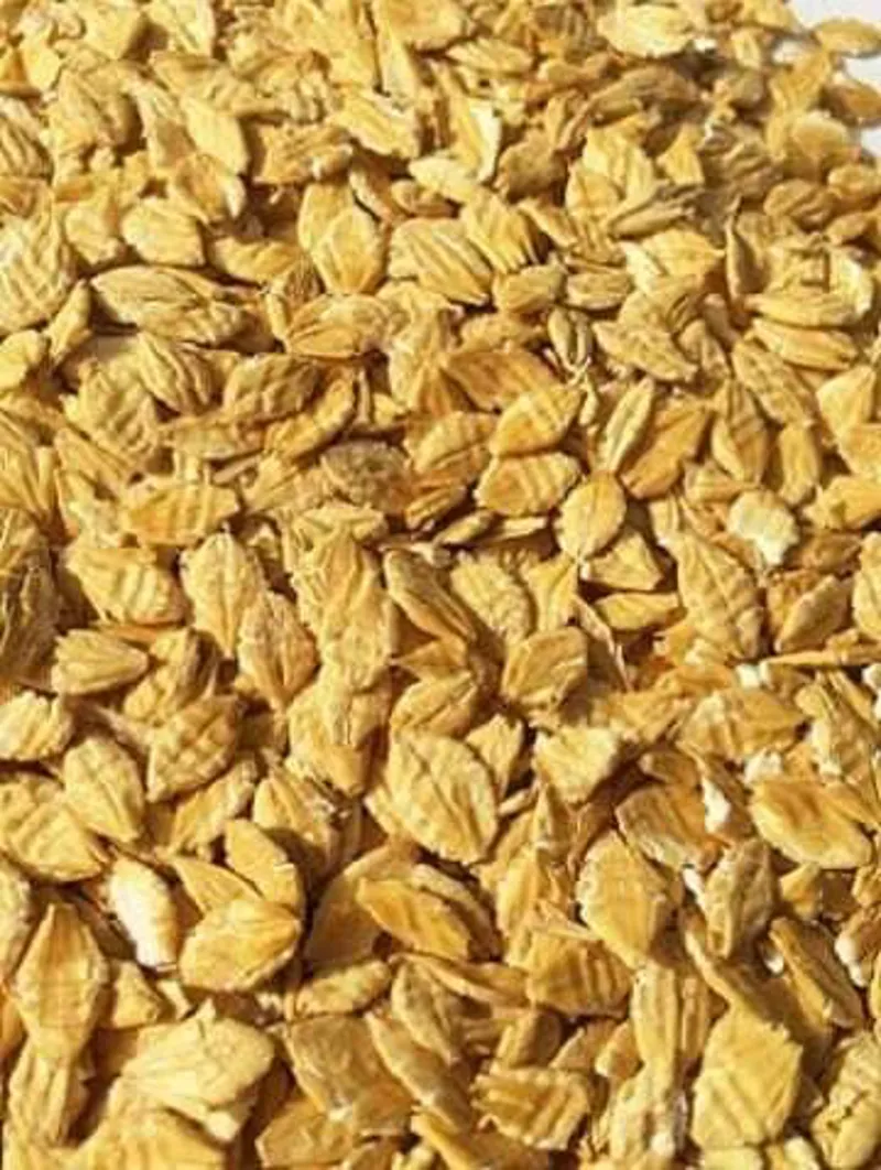 Flaked Barley 20kg