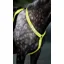 Equi-Flector Breastplate in Yellow