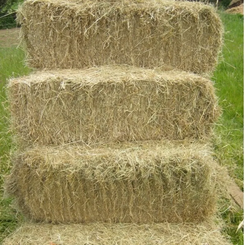 Meadow Hay Bale